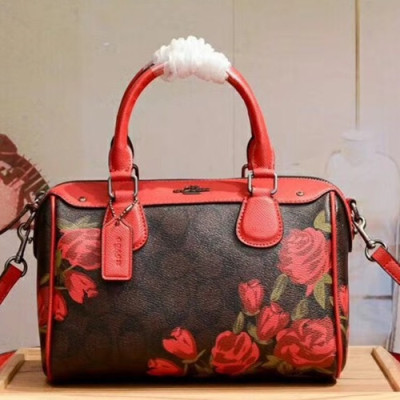 Coach Leather Tote Shoulder Bag,23cm - 코치 레더 토트 숄더백 COAB0194,23cm,브라운+레드