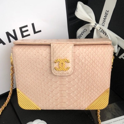 Chanel 2019 Leather Chain Pouch Shoulder Bag ,19CM - 샤넬 2019 레더 체인 파우치 숄더백  CHAB0549,19CM,인디핑크