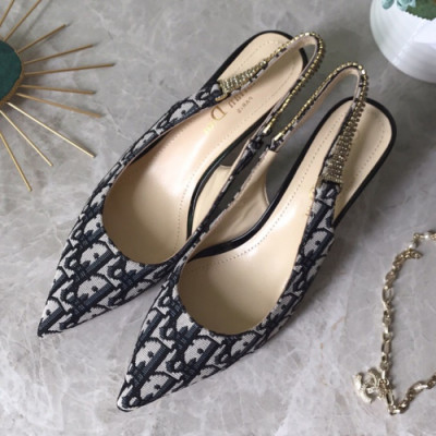 Christian Dior 2019 Womens Quake Oblique Strassy Middle-heel Slingback - 크리스챤 디올 여성 오블리크 스트라스 미들힐 슬링백 Dio0205x.Size(220 - 255).네이비