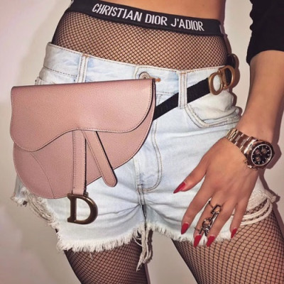 Dior 2019 Leather Saddle Belt Bag ,20CM - 디올 2019 레더 새들 벨트백,DIOB0089,20CM,핑크