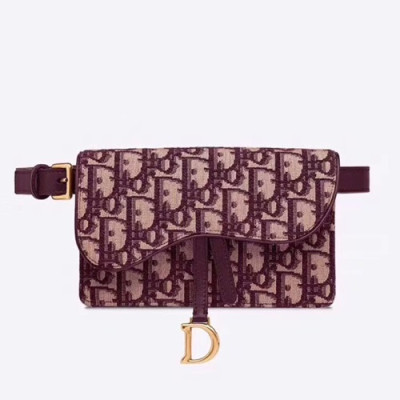 Dior 2019 Oblique Saddle Belt Bag ,18.5CM - 디올 2019 오블리크 새들 벨트백,DIOB0091,18.5CM,레드