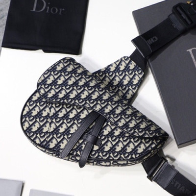 Dior Homme 2019 Pre-Fall Saddle Belt Bag,28.6cm - 디올 옴므 2019 프리폴 남여공용 새들 벨트백,DIOB0093,28.6cm,블랙