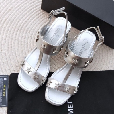 Chanel 2019 Ladies Leather Sandal - 샤넬 2019 여성용 레더 샌들 CHAS0015.Size(220 - 245).실버