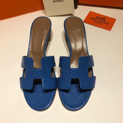 Hermes 2019 Ladies Oasis Leather Middle Heel Slipper - 에르메스 2019 여성용 오아시스 레더 미들힐 슬리퍼 HERS0082,Size(225 - 250).블루