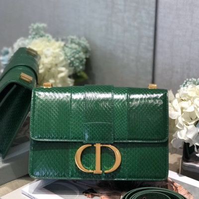 Dior 2019 Leather CD Buckle Shoulder Bag,24CM - 디올 2019 레더 CD 버클 여성용 숄더백  DIOB0445,24CM,그린