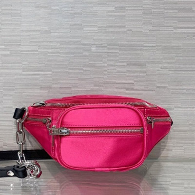 Alexander Wang 2019 Belt Bag,22cm - 알렉산더왕 2019 여성용 벨트백 AWB0017,22cm,핑크