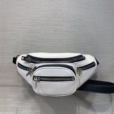 Alexander Wang 2020 Leather Mini Belt Bag,22cm - 알렉산더왕 2020 레더 남여공용 미니 벨트백 AWB0045,22cm,화이트