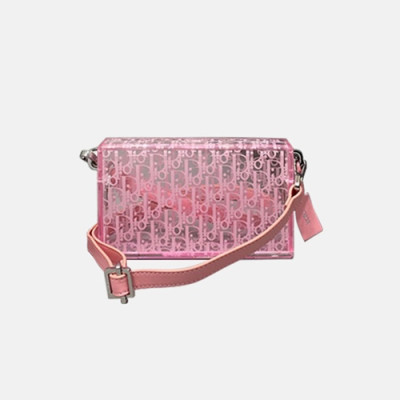 Dior 2020 Acrylic Shoulder Bag,18CM - 디올 2020 여성용 아크릴 숄더백  DIOB0576,18CM,핑크