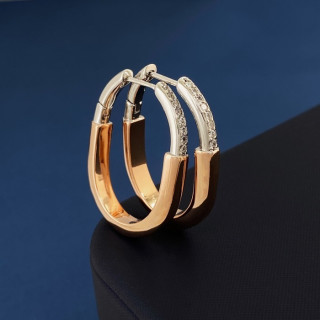 티파니 여성 로즈 골드 이어링 - Tiffany Womens Rose Gold Earring - acc601x