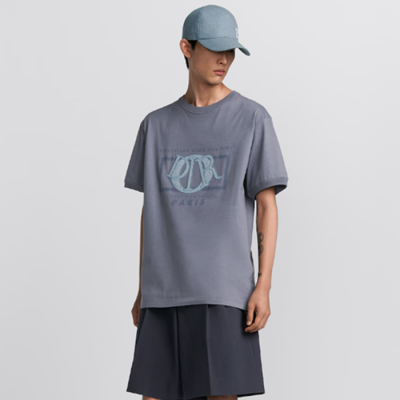 디올 남성 그레이 반팔티 - Dior Mens Gray Tshirts - dic310x